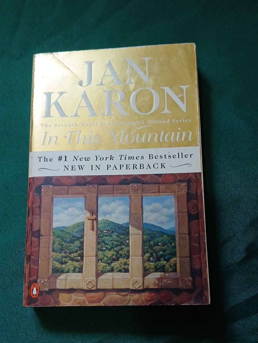 N3 In This Mountain Paperback Book - Yellow Cover